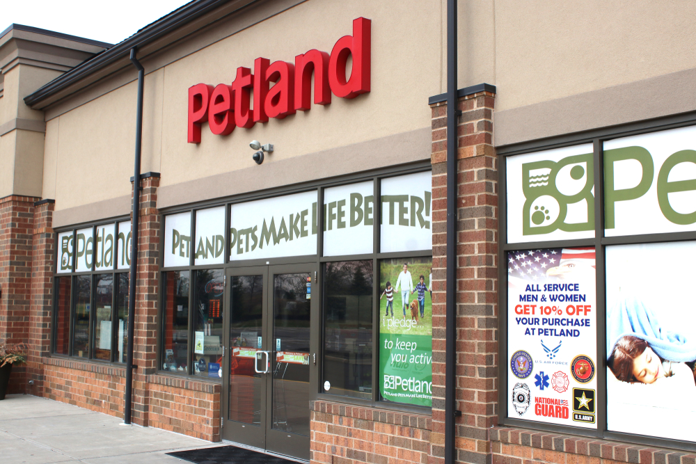 Petland Texas has puppy training, as the location featured here shows Petland is a great location for bonding tips with your puppy.