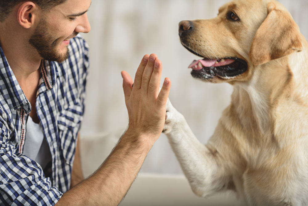 A man gives his yellow Labrador Retriever a high-five.